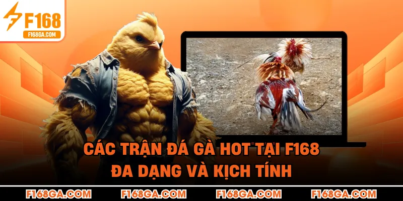 Các trận đá gà hot tại F168 – đa dạng và kịch tính