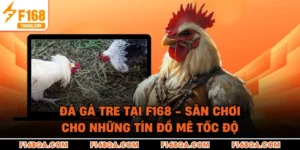 Đá Gà Tre Tại F168 - Sân Chơi Cho Những Tín Đồ Mê Tốc Độ