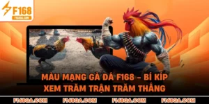 Màu Mạng Gà Đá F168 - Bí Kíp Xem Trăm Trận Trăm Thắng