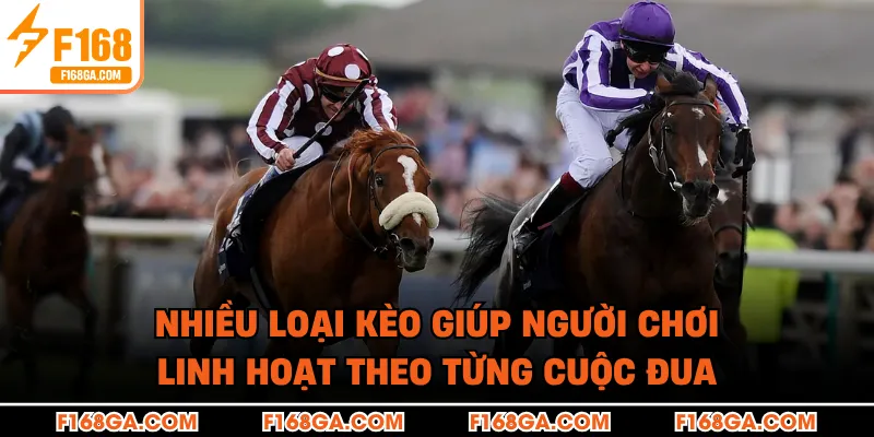 Nhiều loại kèo giúp người chơi linh hoạt theo từng cuộc đua